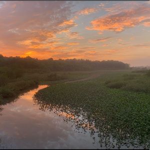 Meet your Posher, Ben